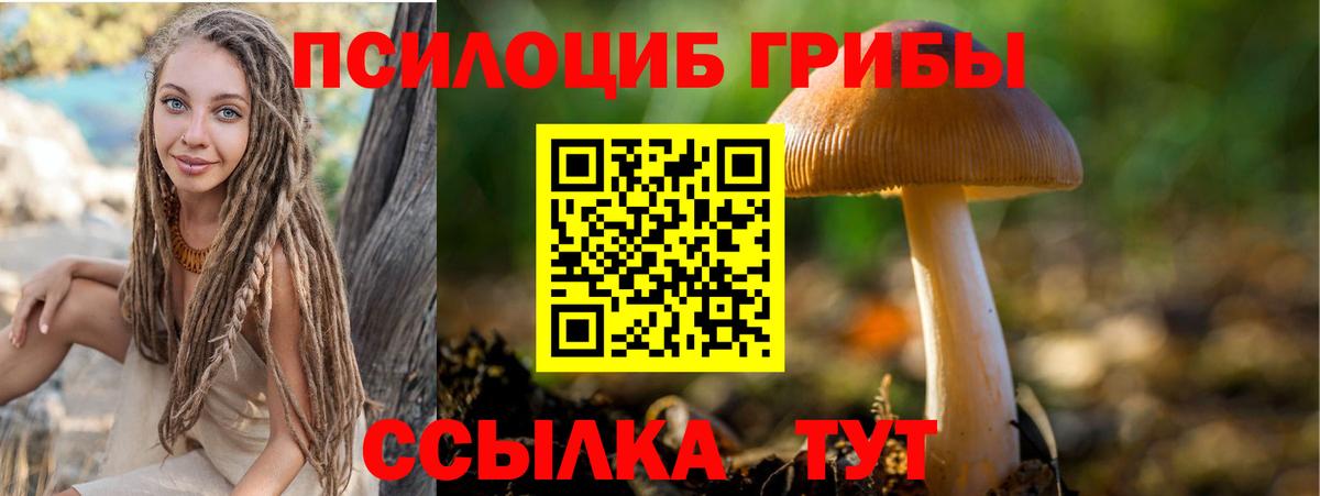 Псилоцибиновые грибы GOLDEN TEACHER  Вход с VPN  Псилоцибиновые грибы ЛСД  Кострома 