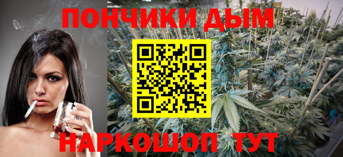 Кострома  Шишки марихуана сатива  Бошки Шишки конопля  Вход с VPN  Марихуана план 
